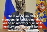 fck NATO meow