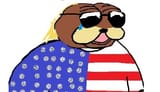 Amerigan-badriooddi--DDD-(FindingWaldo,-su-22.9.2013)