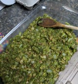 IMG_20250511_082734