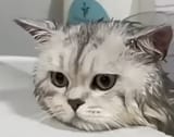 8935101861171092