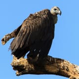 IMG_4350
