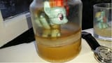 rainbow dash in a jar