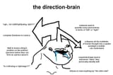direction-brain