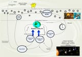 reincarnation_infographic