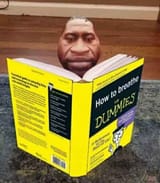 1747231253323678
