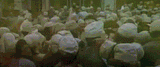 Soylent-green