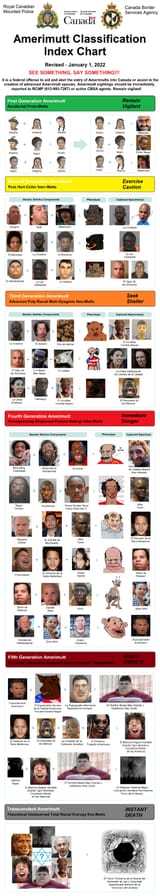 amerimutt classification