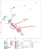 SerbCluster