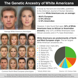 genetic ancestry of white americans