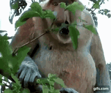 breadnik in secret upon seeing my sublime discounter bread