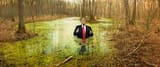 trump_swamp