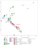 PC1vsPC2_plot_based_on_whole_genome_SNP_data_of_Balto-Slavic_Speaking_Populations