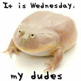 GuZlTZdWgAAG5DY