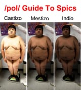 1703730155852502