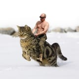 putin.cat.1615861119176