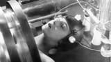 Metropolis (Fritz Lang, 1927) transhumanism neuralink