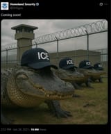 alligator_alcatraz