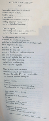andrei poem