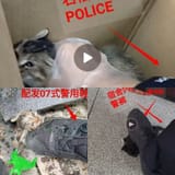 1751302912081439m