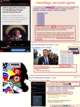 Thomas Massie memeflag deleted tweet Israeli2