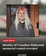 holcaust lawyer