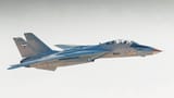 IRIAF-F-14