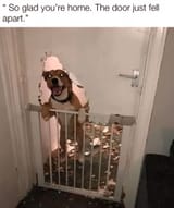 1000014640