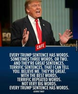 trump_words