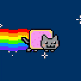cat-space