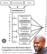 NHH-thymoquinone