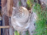 IMG_20250104_143405