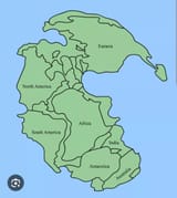 Pangea
