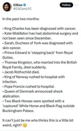 rothschild 1kat