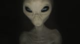 Grey alien