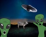 LOOK A UFO