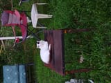 IMG_20250628_204036153