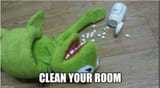 jordan peterson kermit