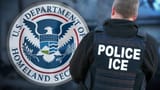 ice-police-2025