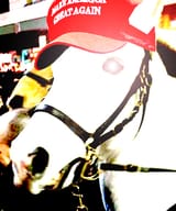 mredD