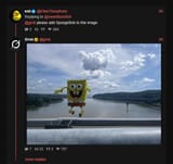 Capture