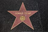 Trump WoF