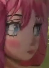 45616546