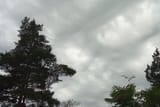 Clouds