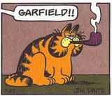 GARFIELD_lasangacat