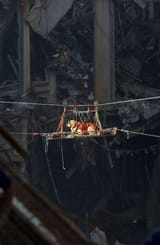 a-rescue-dog-is-transported-out-of-the-debris-of-the-world-v0-o9vzryvuumqb1
