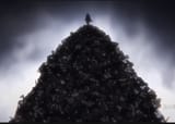 pile-of-bodies