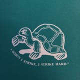 fabianturtle