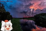 Summer night stock image