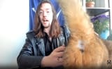 styxcat
