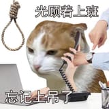 Incalculablezanydoing_ed966b_12461007